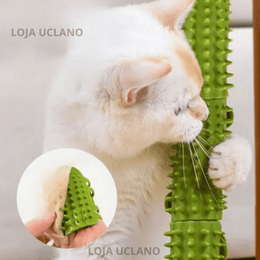 Pente Massageador para Gatos Scat